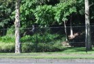 Lake Cowalmesh-fencing-10.jpg; ?>